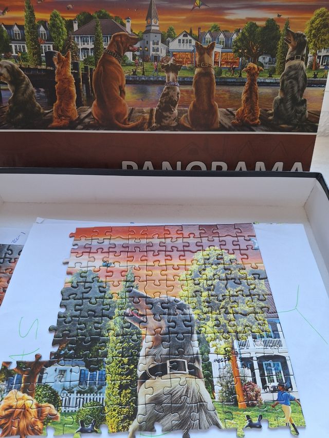 Puzzle da 1000 pezzi