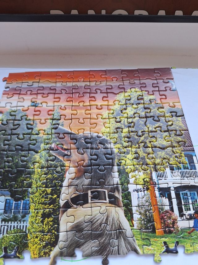 Puzzle da 1000 pezzi