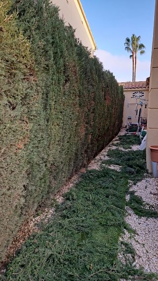 Jardinero económico profesional