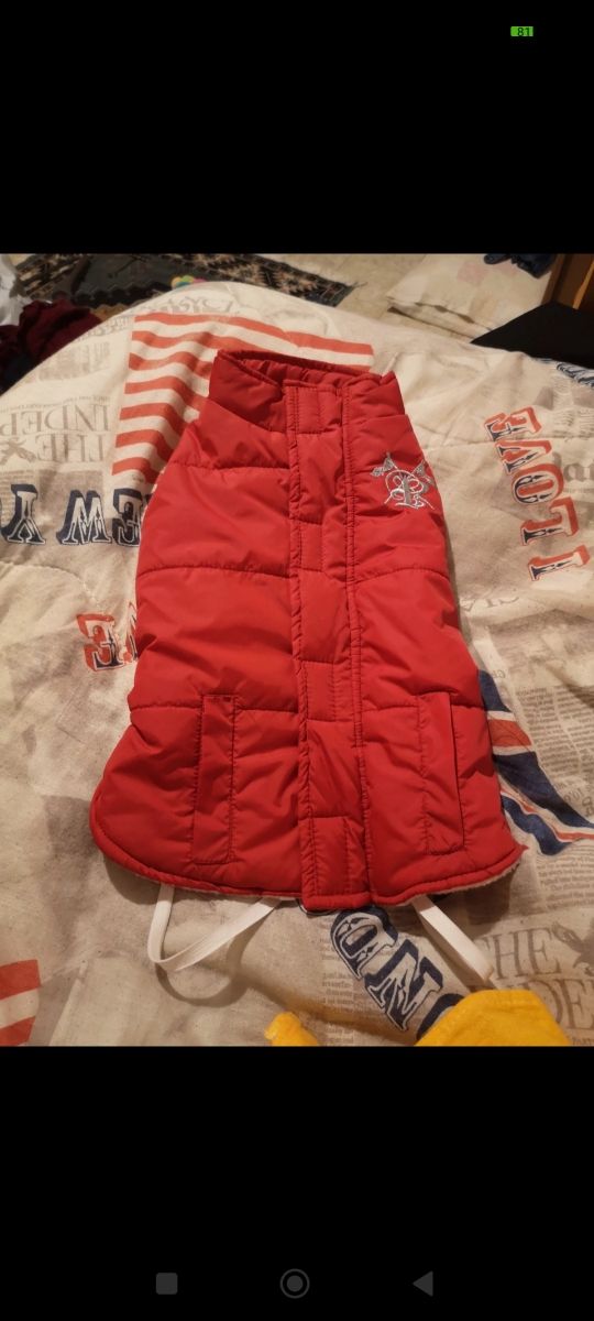 Cappottino per cagnolina tg L