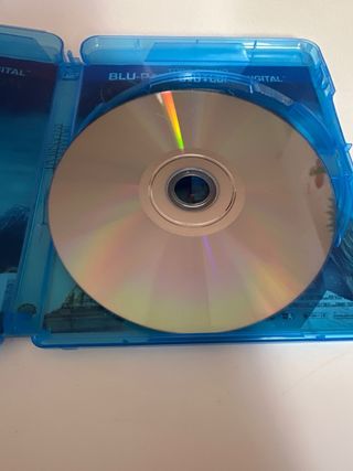 Palmeras en la Nieve