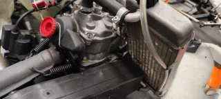 Karts motor rotax automatico