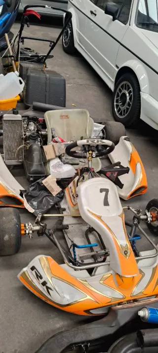 Karts motor rotax automatico