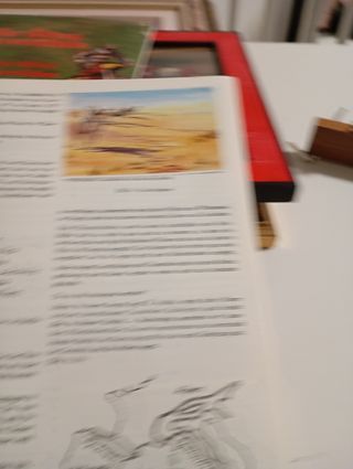 Album figurine vintage