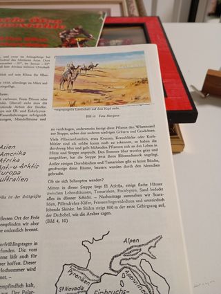 Album figurine vintage