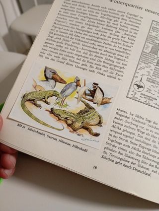 Album figurine vintage