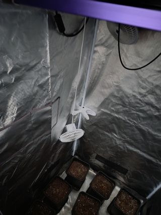 Kit cultivo lumatek Invernadero completo full kit 