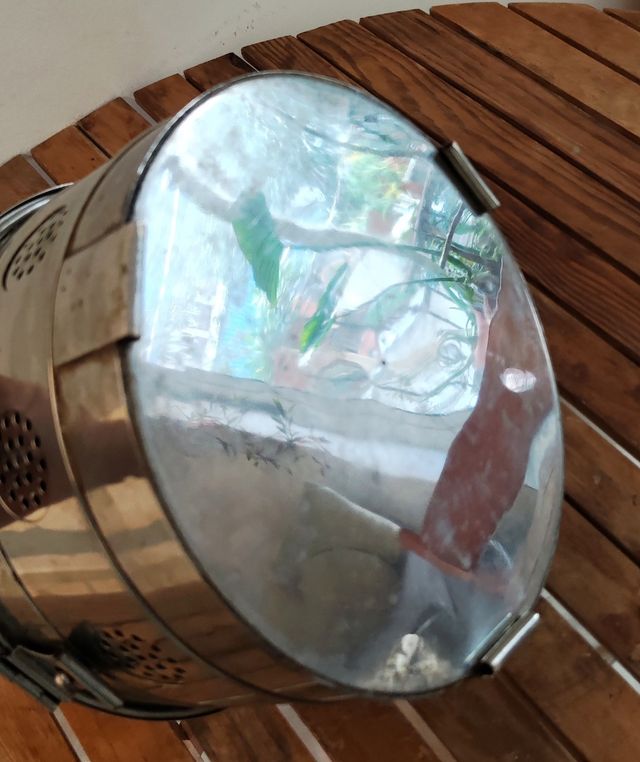 Antigua caja esterilizadora años 50