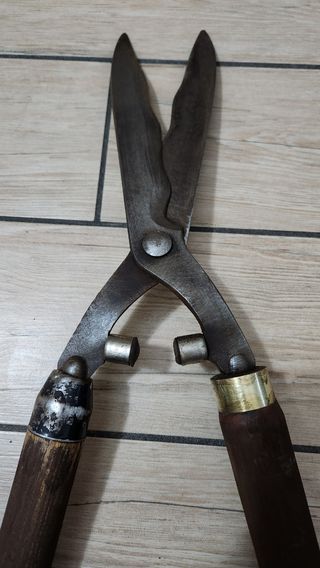 Forbicione tagliasiepi 