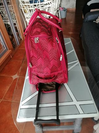 Bolso de viaje con ruedas