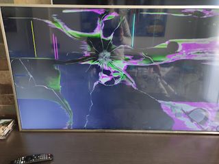 FLEX LVDS SAMSUNG BN96-39821B