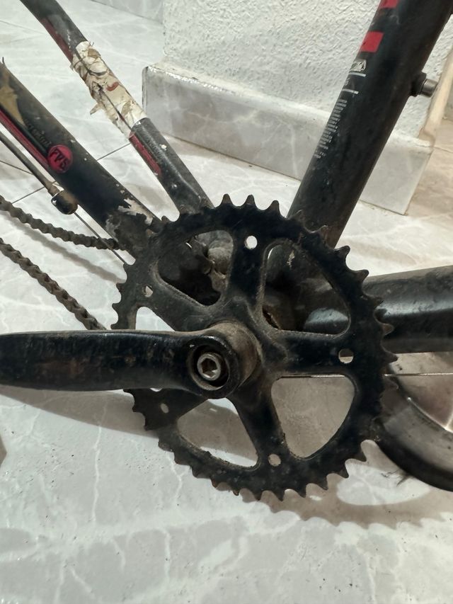 cuadro berg trail 10