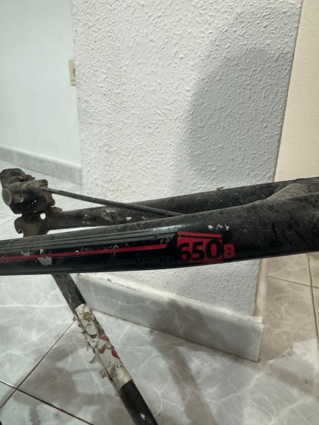 cuadro berg trail 10