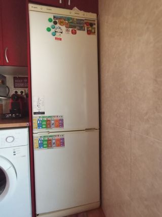 Nevera,horno y placa de inducción.