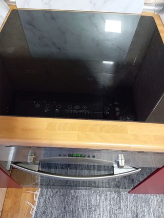 Nevera,horno y placa de inducción.