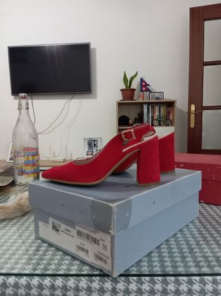 Zapatos tacón