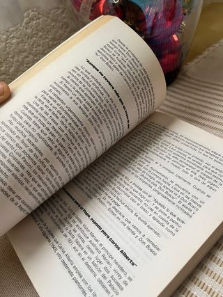Libro Don Bosco: una biografia nueva
