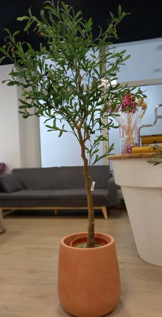 Olivo artificial a partir de