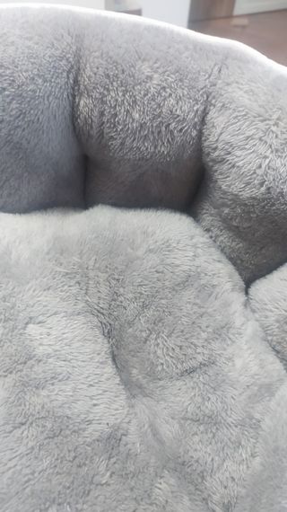 Cuccia 