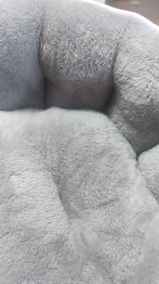 Cuccia 