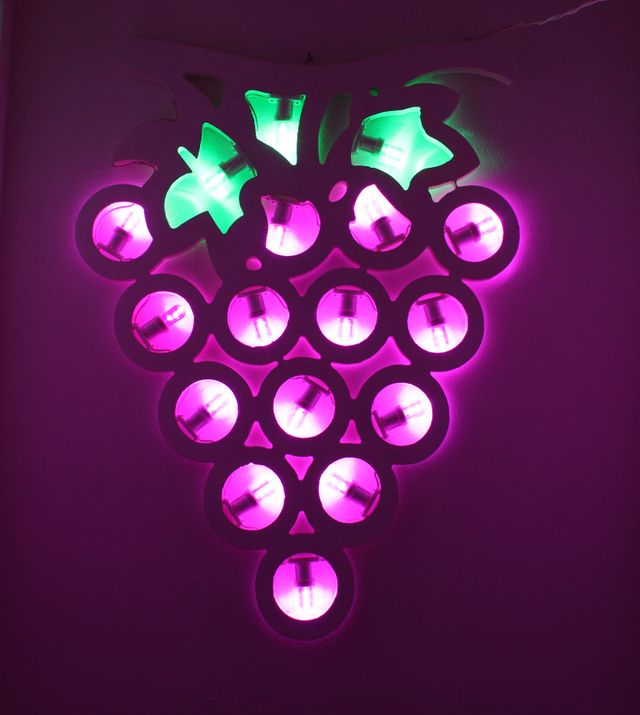 Grappolo D'uva luminaria Salentina Insegna Cantina