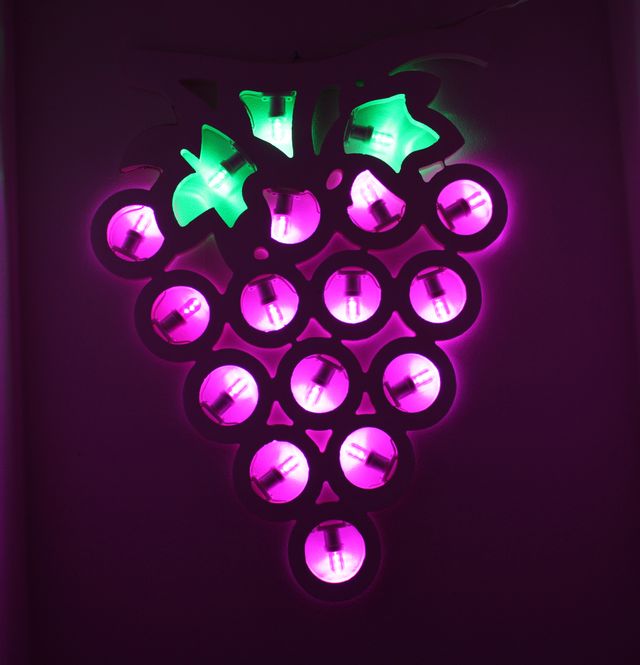 Grappolo D'uva luminaria Salentina Insegna Cantina