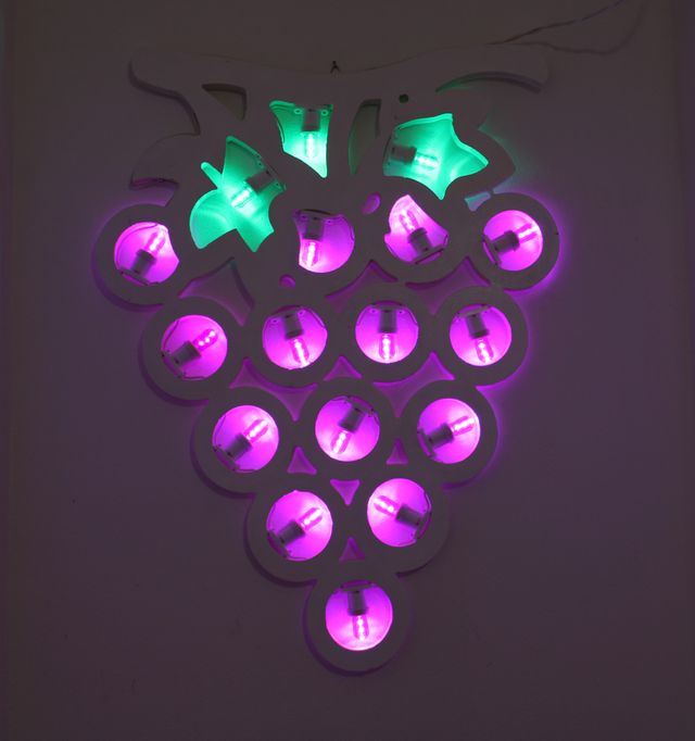 Grappolo D'uva luminaria Salentina Insegna Cantina