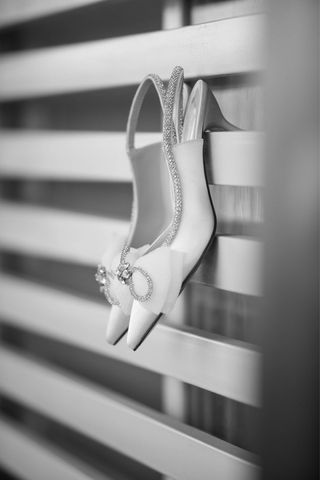 Boda completa/ animacion 