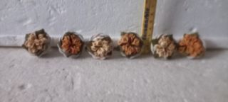 MINIATURE PRESEPE O CASA DELLE BAMBOLE