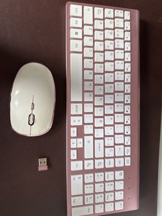 Teclado alfanumerico y Raton inalambricos
