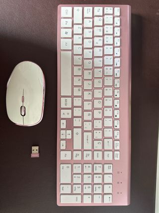 Teclado alfanumerico y Raton inalambricos