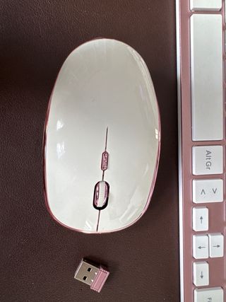 Teclado alfanumerico y Raton inalambricos