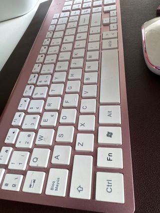 Teclado alfanumerico y Raton inalambricos