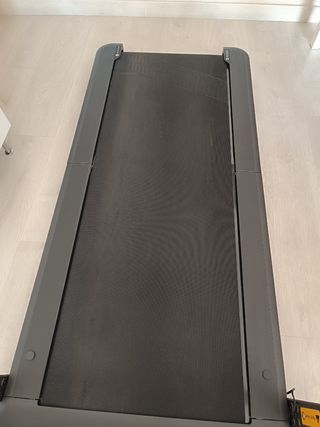 WALKING R1 PRO