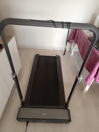 WALKING R1 PRO