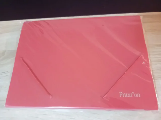 Carpeta Clasificadora c/fuelle Praxton