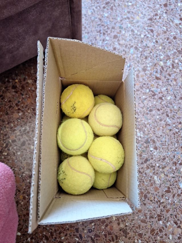 30 pelotas tenis para manualidades, mascotas