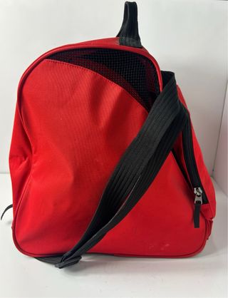 Botas de esqui marca NORDICA