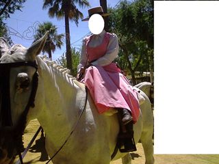 CONJUNTO DE AMAZON (FERIA, ROMERIA Y ROCIO)