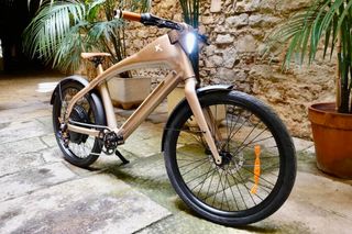 Ebike Rayvolt eXXite X One