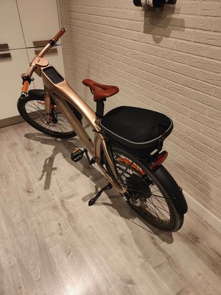Ebike Rayvolt eXXite X One