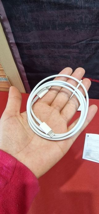 Apple Cable de Conector Lightning a USB (1 m)