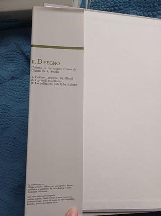 Il disegno,forme tecniche,significati