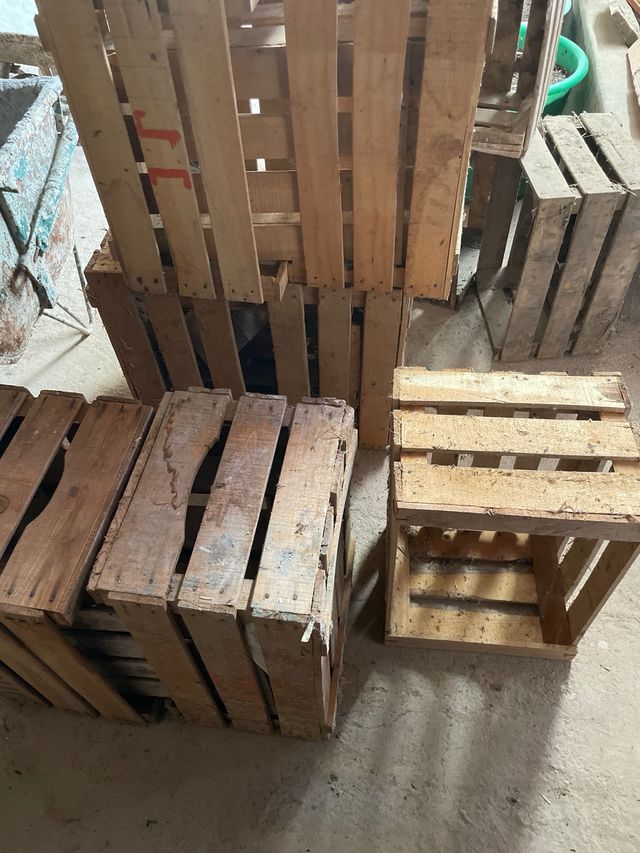 Cajas fruta madera