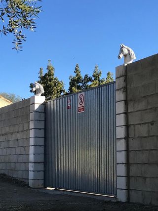 cabezas de caballo decoracion de exteriores