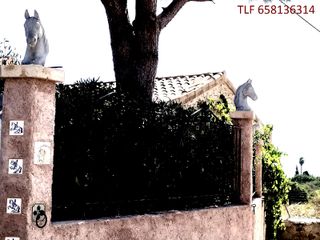 cabezas de caballo decoracion de exteriores