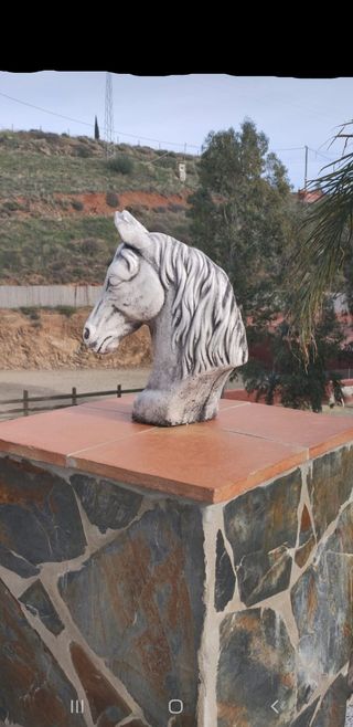 cabezas de caballo decoracion exteriores interiore