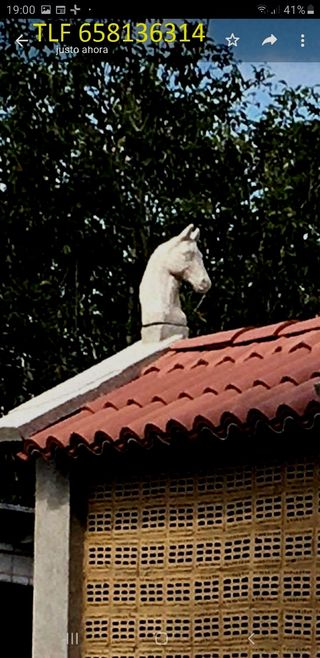 cabezas caballo decoracion exterires e interiores