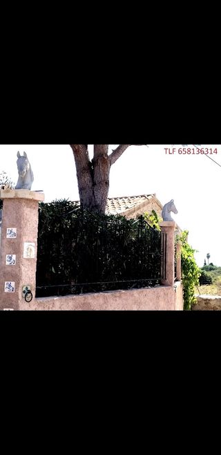 cabezas decoracion de exteriores