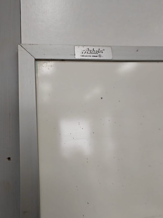 Pizarra blanca de 256x122.5x16